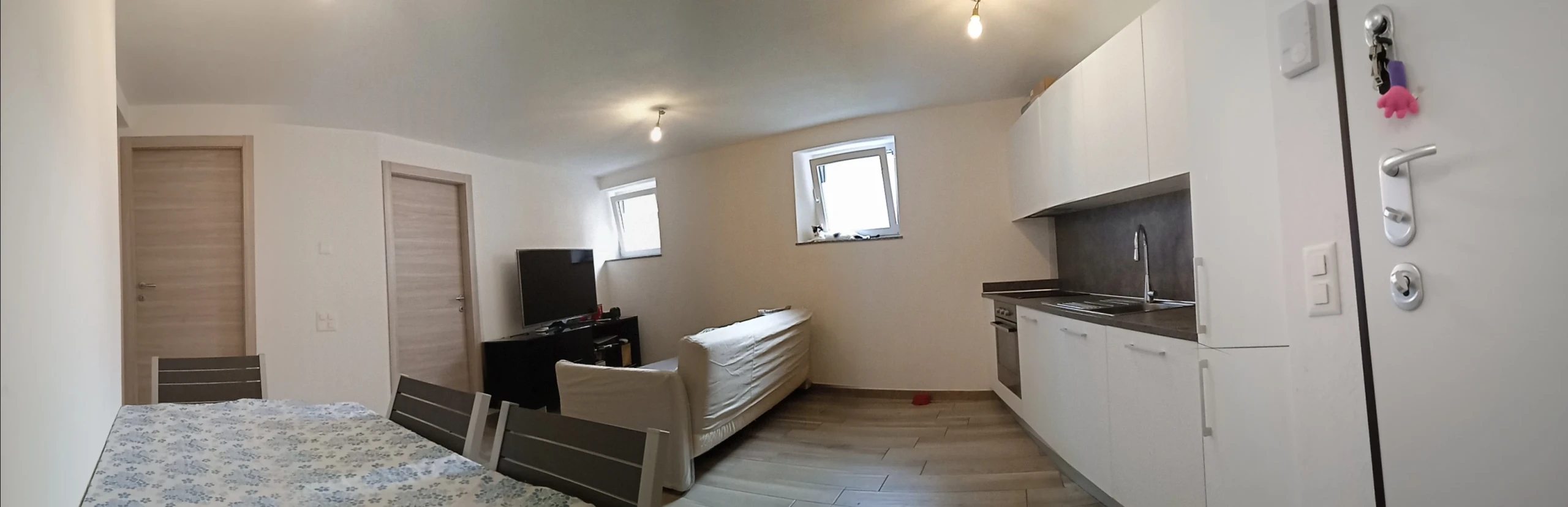 Wohnung zu vermieten 68 m², basement/2 Stockwerke. Cò D'Sora , Lugano. 